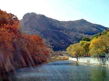 新澳天天开好彩资料大全，黄山毛峰1875